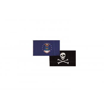 Vietnam Veteran Flag