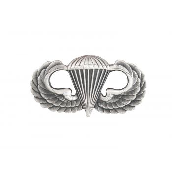 Parawing Pin