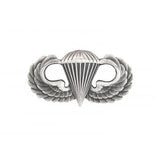 Parawing Pin