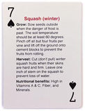 Survival Seeds Playing Cards